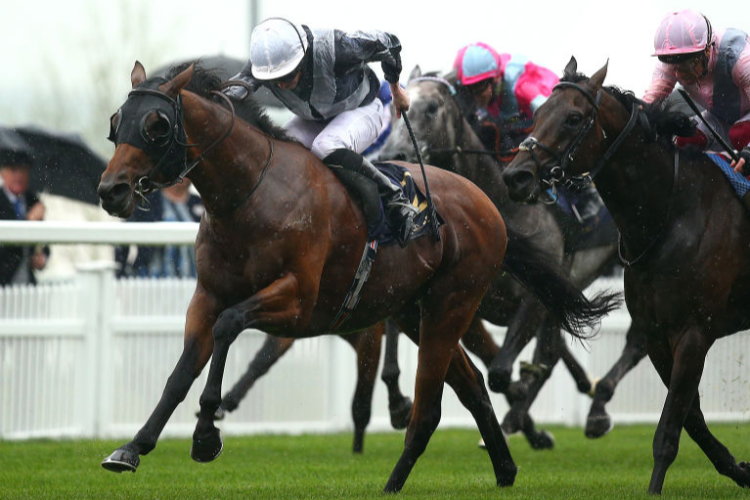 CIRCUS MAXIMUS winning the St James's Palace Stakes