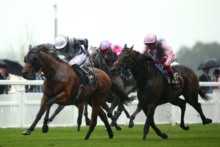 CIRCUS MAXIMUS <span style='font-size:11.0pt'><span style='line-height:107%'><span style='font-family:'Calibri',sans-serif'>was the winner of a Prix du Moulin de Longchamp.</span></span></span>