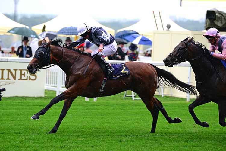 Circus Maximus winning the St James's Palace Stakes