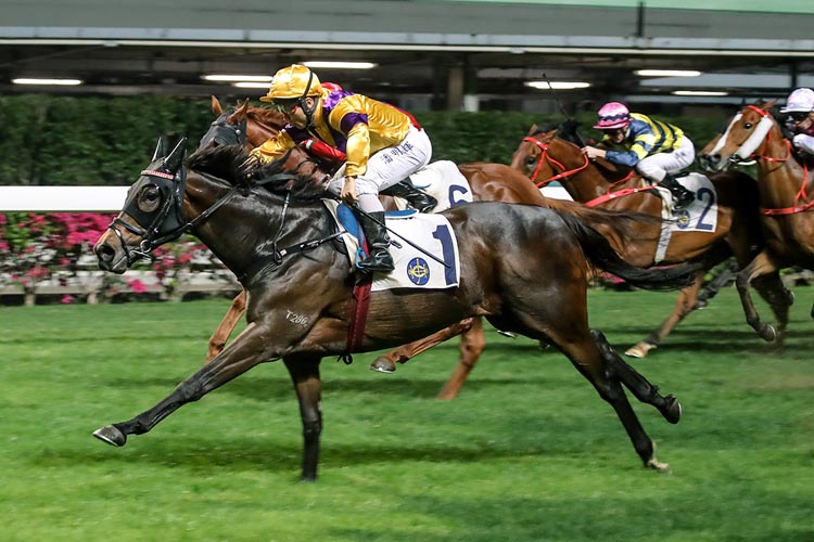 Citron Spirit carries Matthew Poon to victory in the Happy Valley Vase.