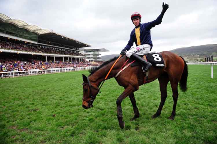 City Island winning the Ballymore Novices' Hurdle (Grade 1) (Registered as the Baring Bingham)