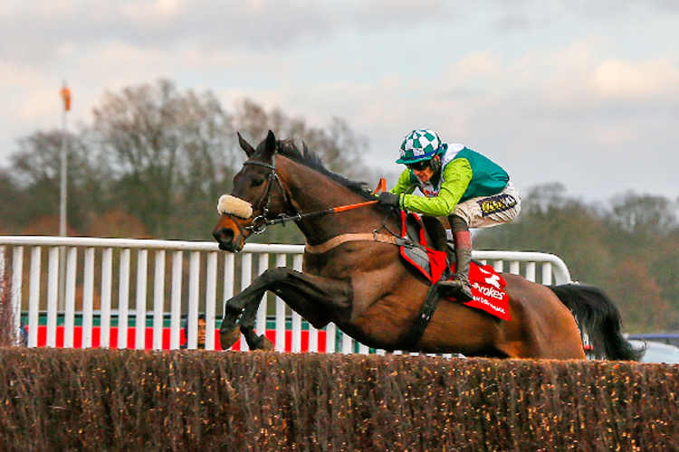 Clan Des Obeaux winning the Ladbrokes King George VI Chase (Grade 1)