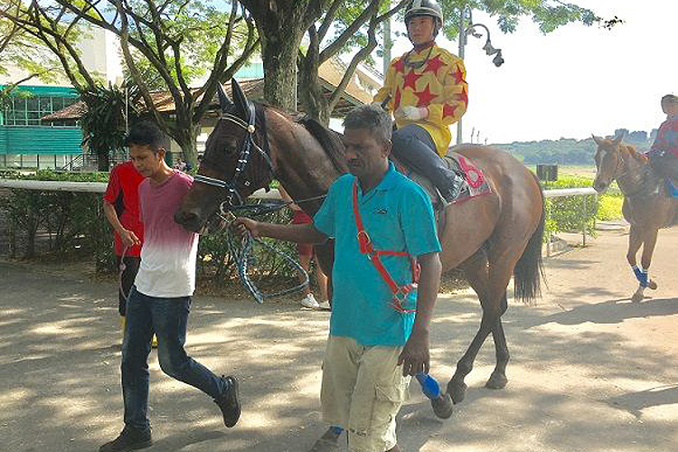 Clarton Super (Wong Chin Chuen) returns to scales after his barrier trial on Tuesday.