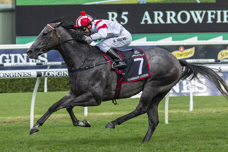 Classique Legend winning the Arrowfield 3yo Sprint