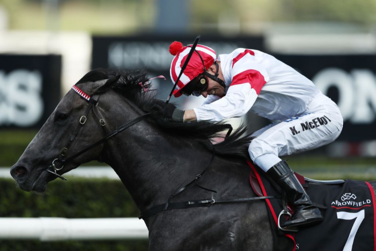 CLASSIQUE LEGEND winning the Arrowfield 3YO Sprint during The Championships Day 2 at Royal Randwick in Sydney, Australia.