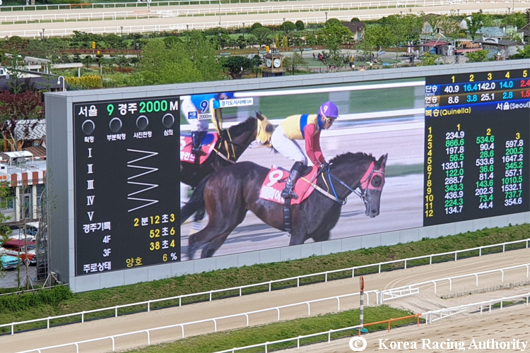 CLEAR GEOM winning the Gyeonggi Governors Cup in Seoul, Korea.