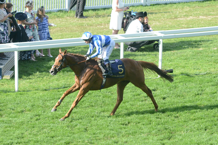 Cleonte winning the Queen Alexandra Stakes (Conditions Race)
