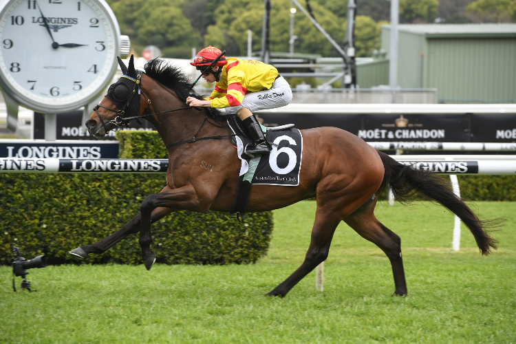 COLADA winning the Yulong Australia Stan Fox Stakes.