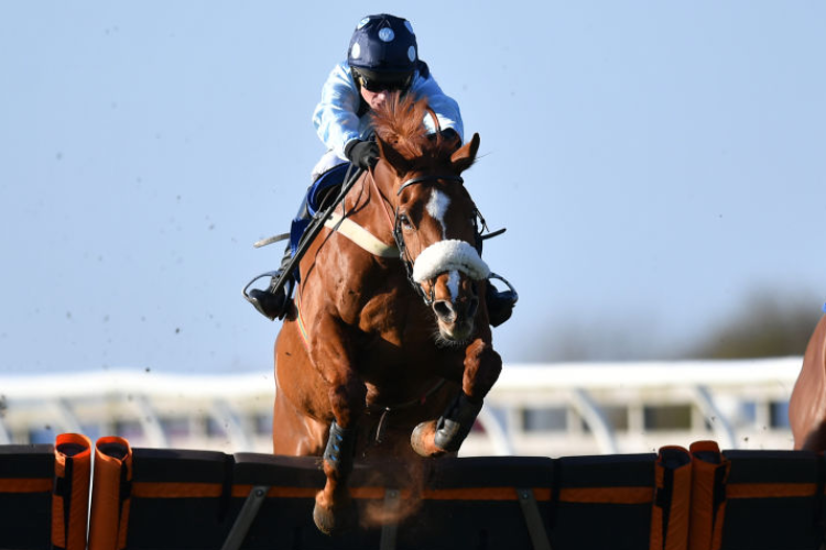 COMMANCHE RED winning the Join Racing TV Now Novices' Handicap Hurdle in Wincanton, England.