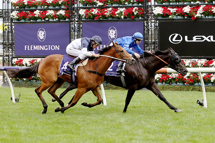 Conceited (inside) wins at Flemington