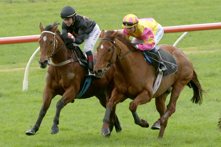 Class mare Consensus (inner) completes a comfortable exhibition gallop in company with Call Me Royal at Ruakaka