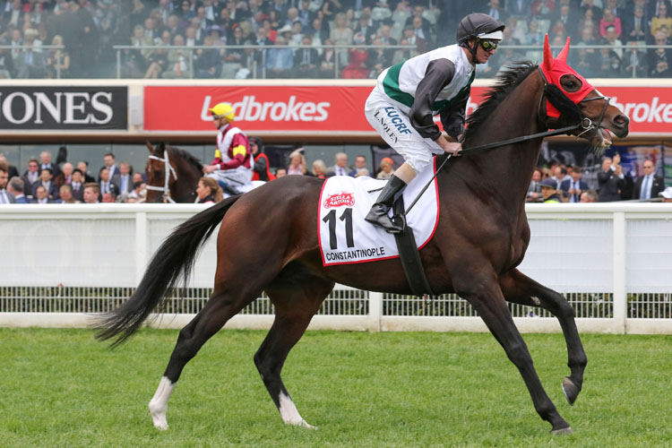 Constantinople running in the Stella Artois Caulfield Cup