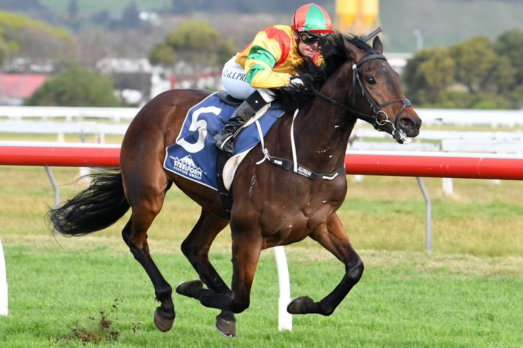 Cooga Doon winning the Hs Dyke Wanganui Guineas