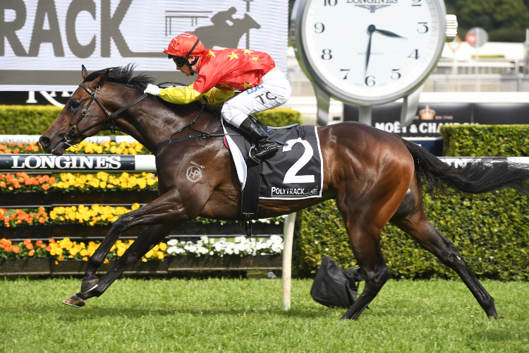 COSMIC FORCE winning the Polytrack Roman Consul Stakes.