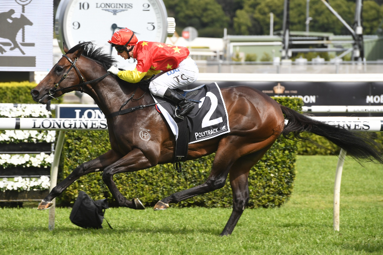 COSMIC FORCE winning the Polytrack Roman Consul Stakes.