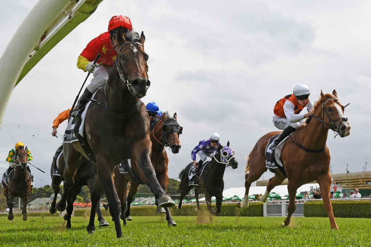 COSMIC FORCE winning the Polytrack Roman Consul Stakes.