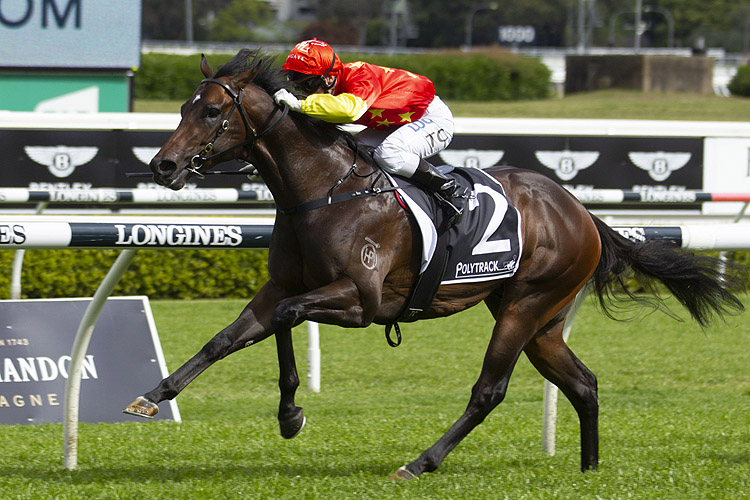 Cosmic Force winning the Roman Consul Stakes