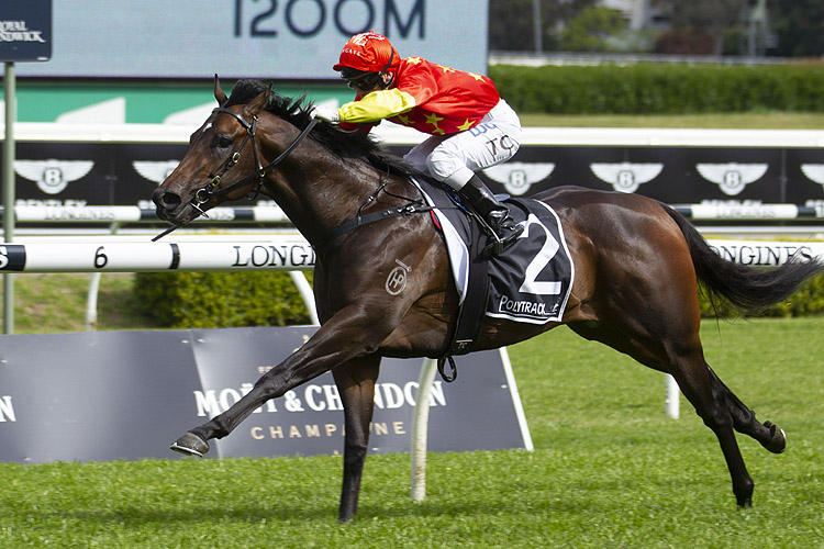 Cosmic Force winning the Polytrack Roman Consul Stakes