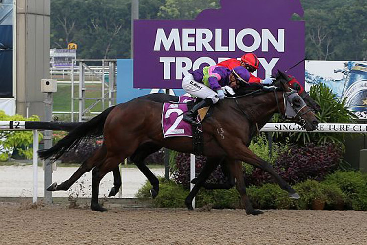 Countofmontecristo winning the MERLION TROPHY