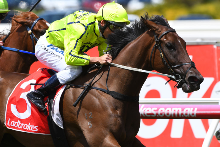 CRACK THE CODE winning the Kevin Hayes Stakes during Melbourne Racing at Caulfield in Melbourne, Australia.