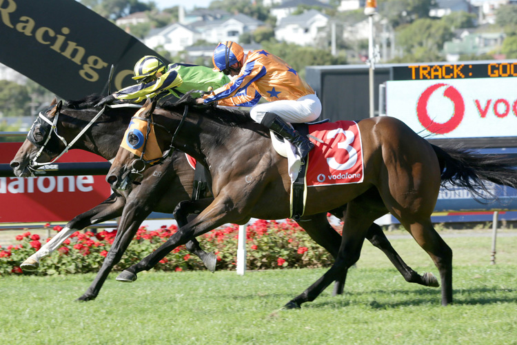 Crown Prosecutor(inner) winning the Vodafone Nz Derby