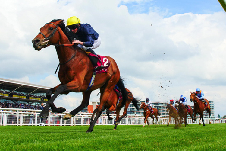 Crystal Ocean winning the Al Rayyan Stakes (Registered As The Aston Park Stakes) (Group 3)