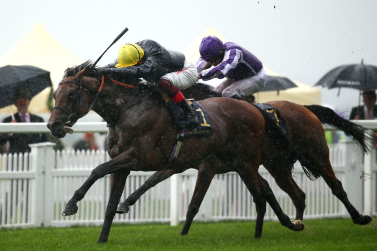 CRYSTAL OCEAN winning the Prince of Wales's Stakes at Ascot in England.