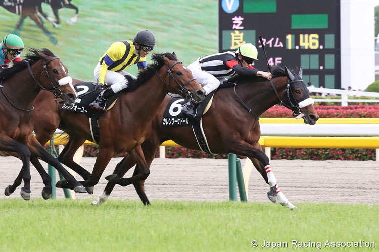 CURREN BOUQUETD'OR winning the Sweetpea Stakes in Tokyo, Japan.
