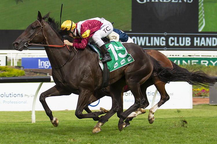 Cyber Intervention winning the Rosehill Bowling Club (Bm78)