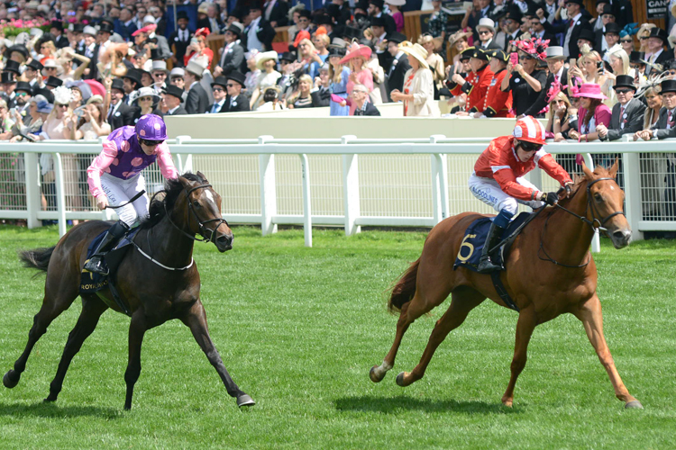 Daahyeh winning the Albany Stakes (Fillies' Group 3)
