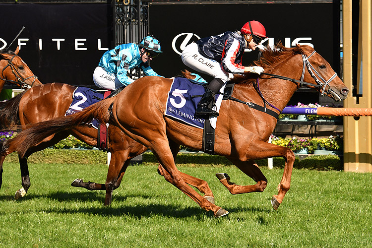 Dalasan winning the Danehill Stakes