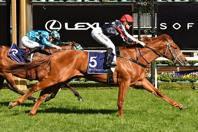 Dalasan winning the Danehill Stakes