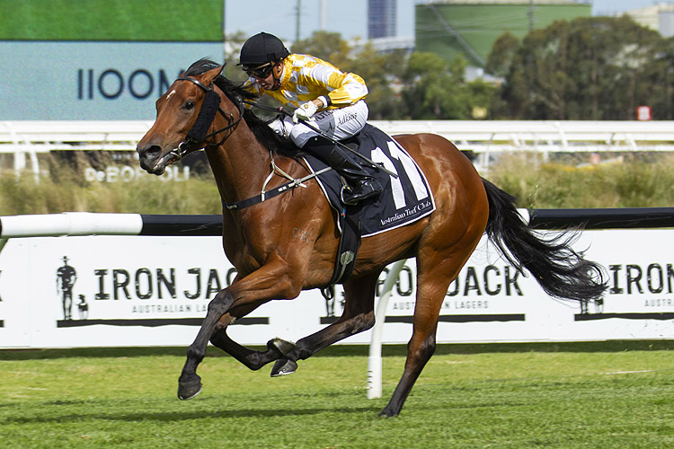 Dame Giselle winning the Golden Gift