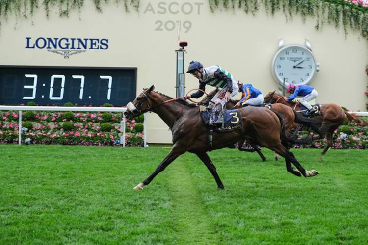 Dashing Willoughby winning the Queen's Vase (Group 2)