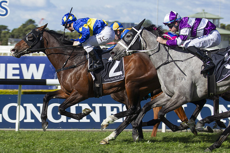 Dawn Passage winning the C'bury Hurlstone Park Rosebud