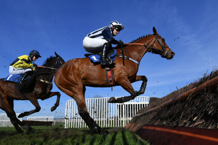 DEAUVILLE DANCER winning the South West Racing Club Handicap Chase in Wincanton, England.