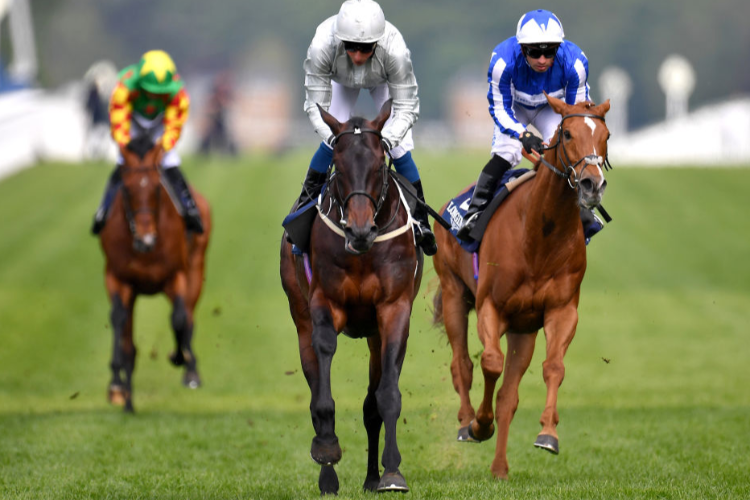 DEE EX BEE winning the Longines Sagaro Stakes (Group 3) during the Irish Thoroughbred Marketing Royal Ascot Two-Year-Old Trial Conditions Stakes in Ascot, England.