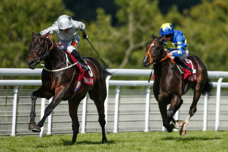 DEE EX BEE winning the Qatar EBF Stallions Maiden Stakes on day five of the Qatar Goodwood Festival at Goodwood in Chichester, England.