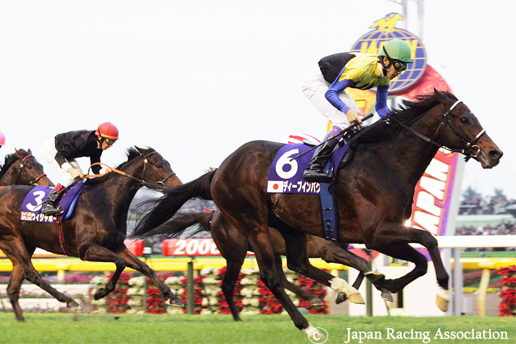 DEEP IMPACT. DEEP IMPACT.