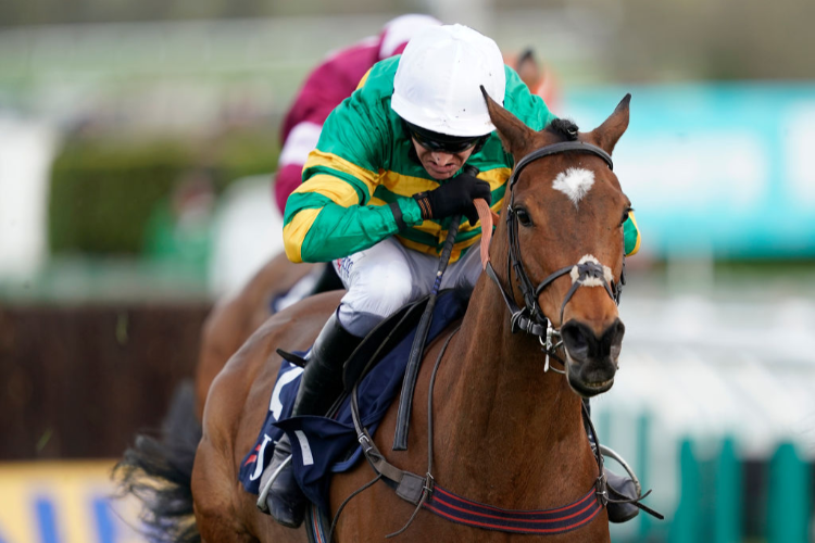 DEFI DU SEUIL winning the JLT Novices' Chase in Cheltenham, England.