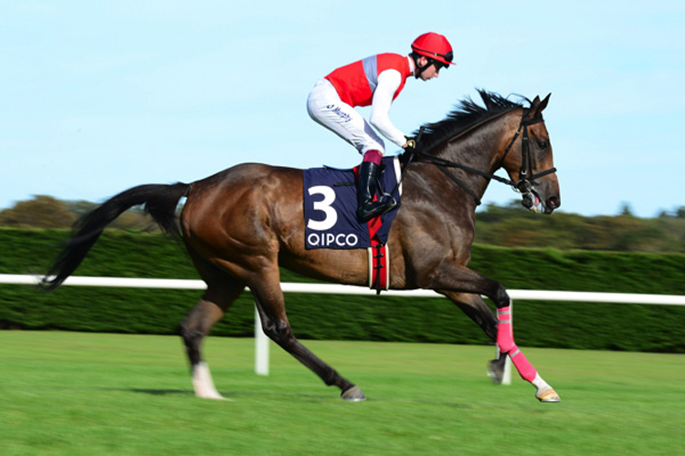 DEIRDRE running in the Irish Champion Stakes.