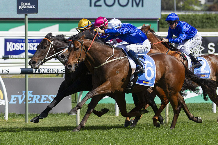 Deprive winning the Camera House Sydney Stakes