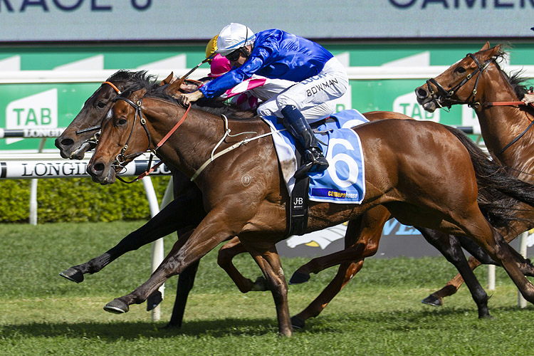 Deprive winning the Camera House Sydney Stakes