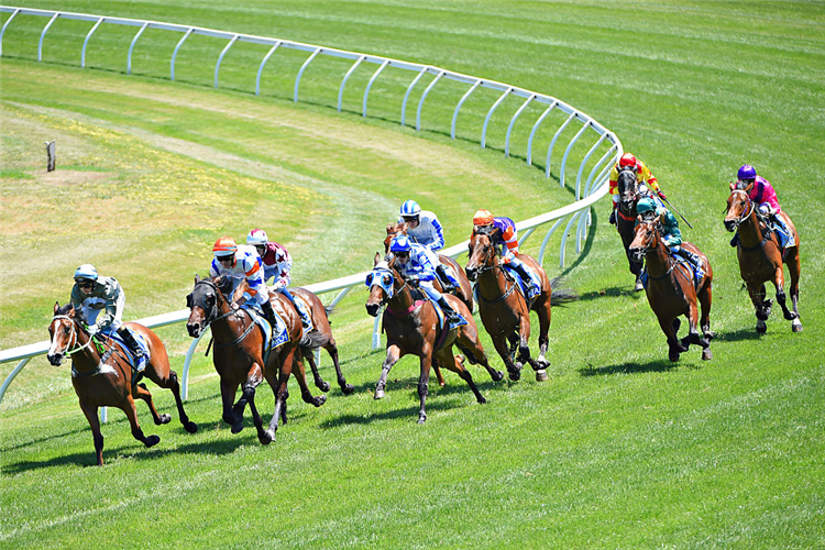 2020 Dc Mckay Stakes Race History Racing and Sports