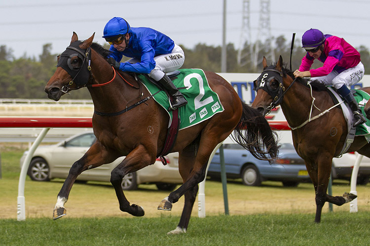 Destination winning the Marty Christie And Crammy Hcp