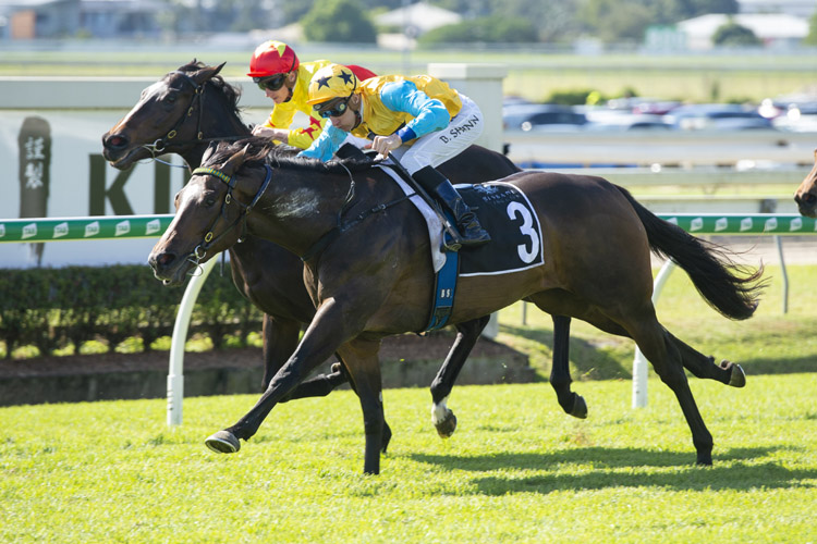 Diamond Thunder winning the Authentic Security Oxlade Stks