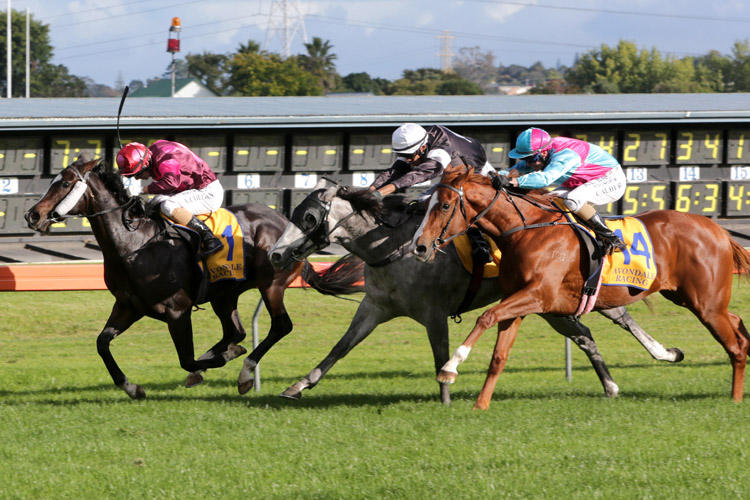 Diva Express (inner) and Vinnie Colgan head to victory at Avondale