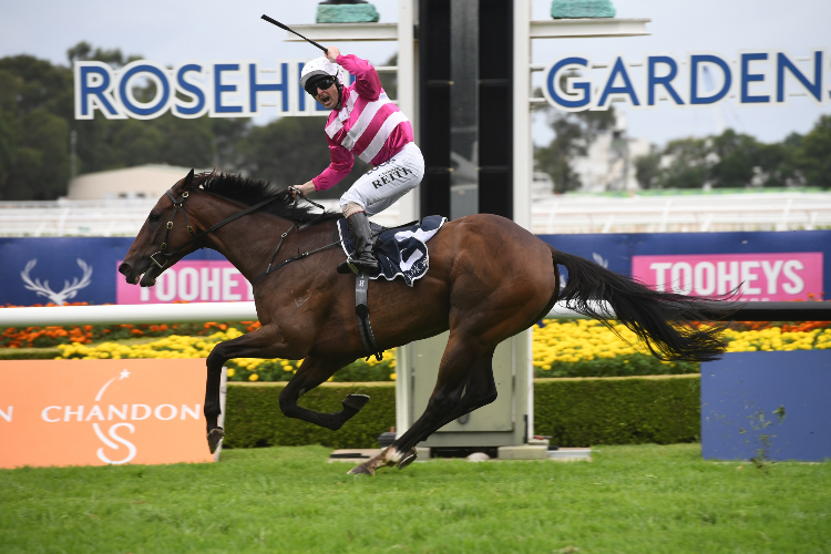DIXIE BLOSSOMS winning the Coolmore Classic.