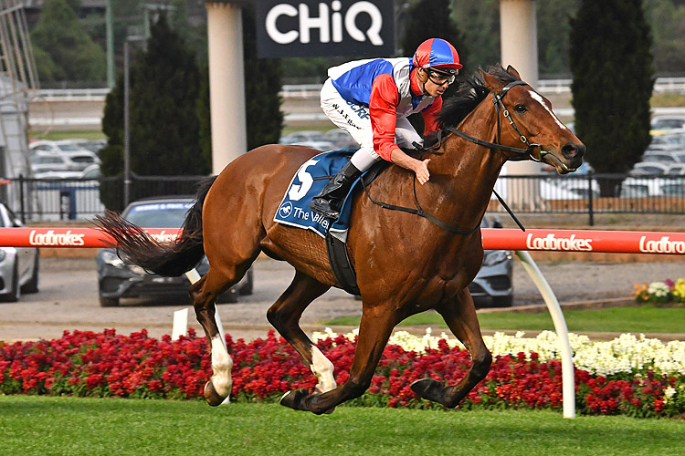 Double You Tee winning the The Westin Melbourne Hcp