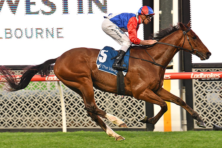 Double You Tee winning the The Westin Melbourne Hcp